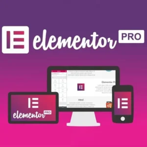Elementor Pro 4.2.0 Seus sites mais profissionais.