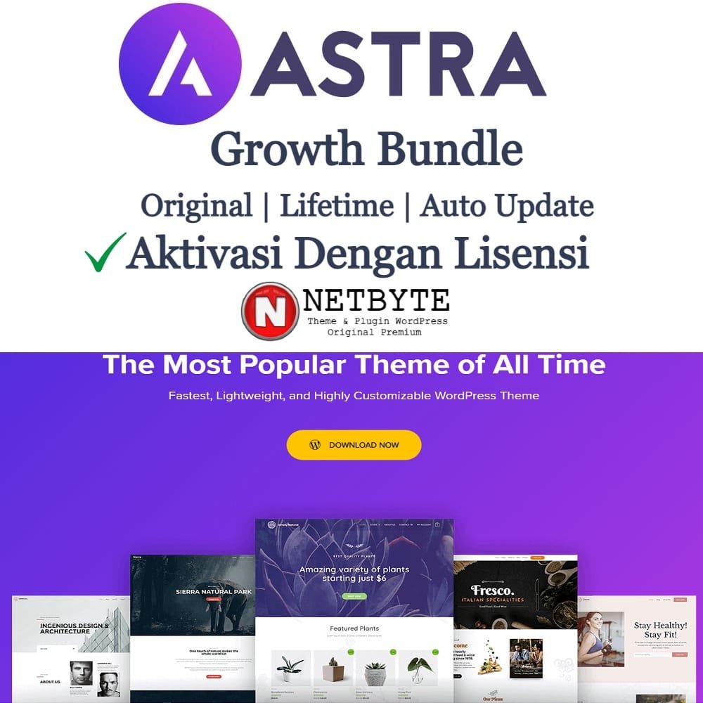 Tema Astra Pro v4.11.7 - Ativado